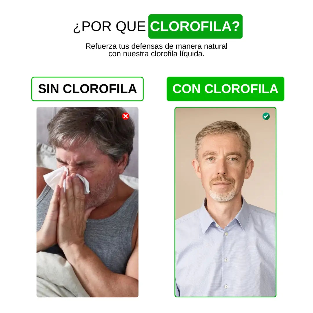 Clorofila
